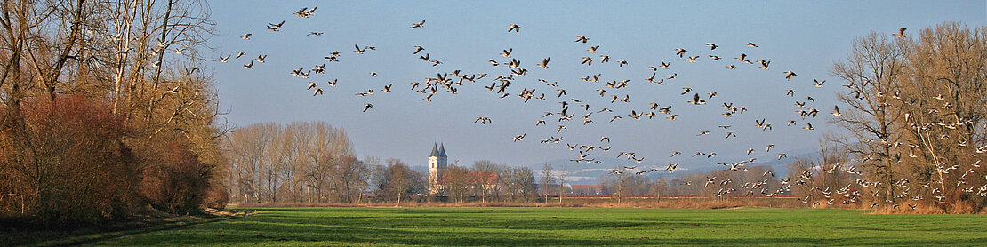 Bernd_Josef_Witt_IMG_6815-3